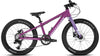 FLAT VIOLET